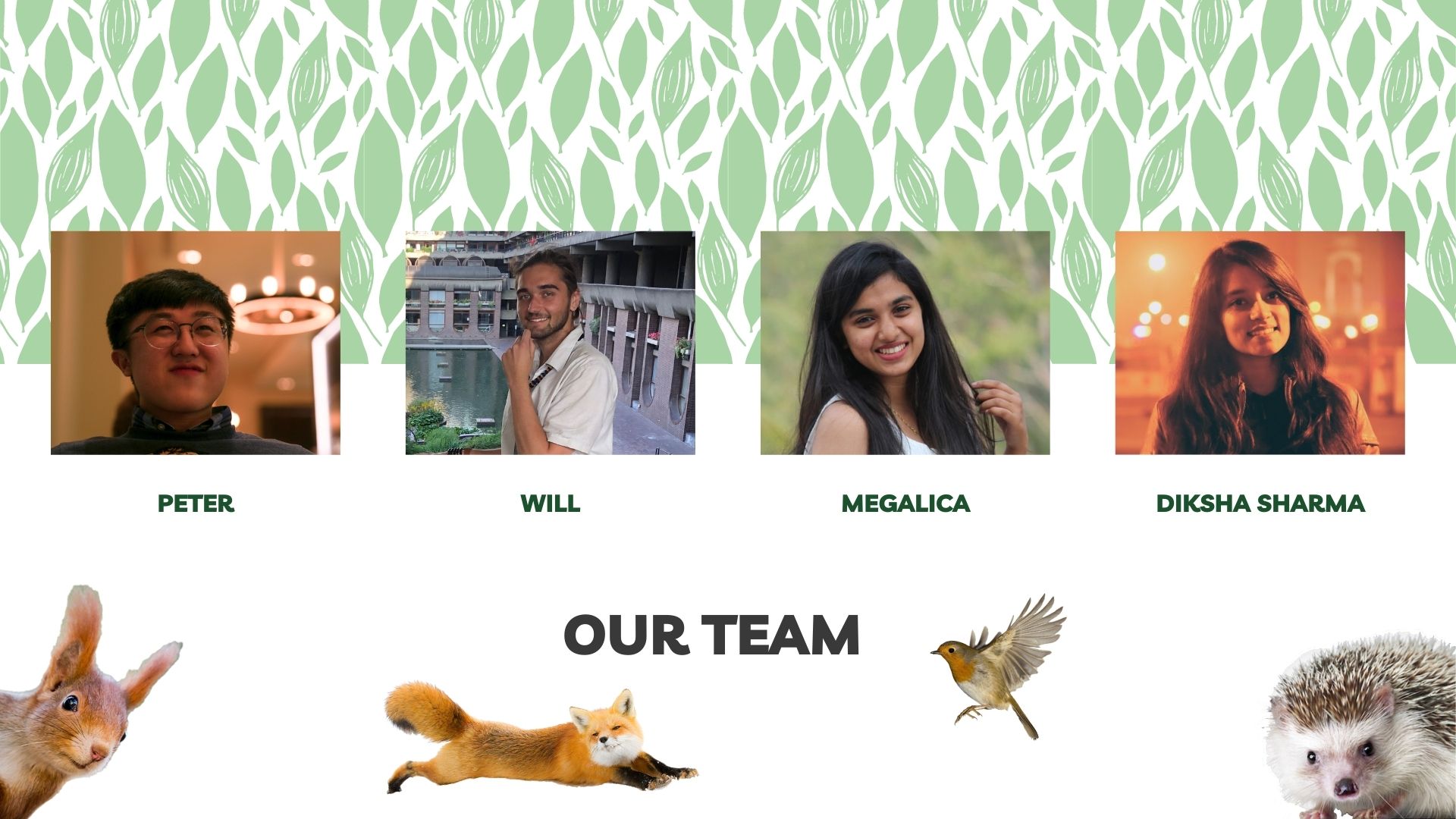 Cabin workflow mapping sketches